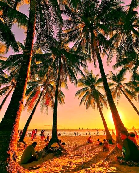 Beautiful Nature image