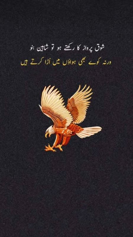 Attitude Quotes image