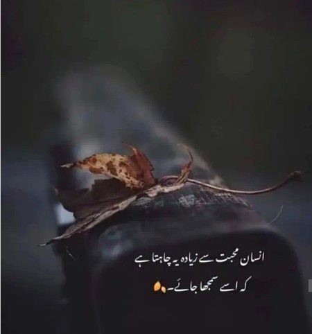 Life Advice image