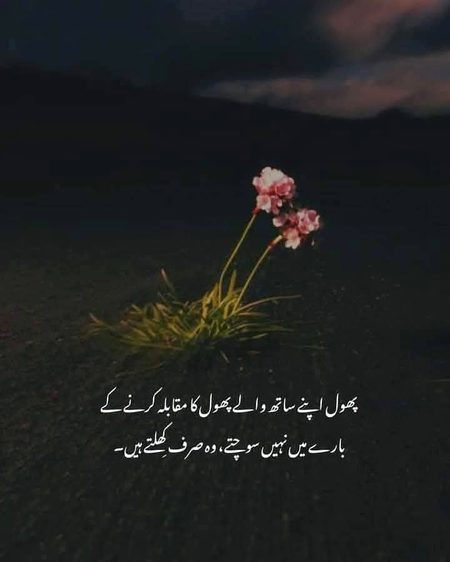 Social media post