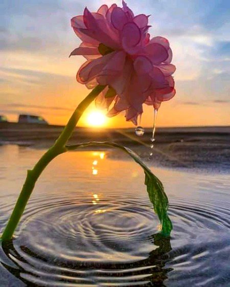 Beautiful Nature image