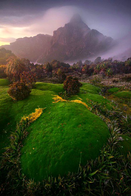 Beautiful Nature image