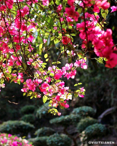 Beautiful Nature image