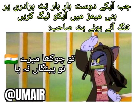 Memes & Satire image