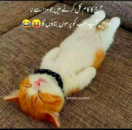Social media post