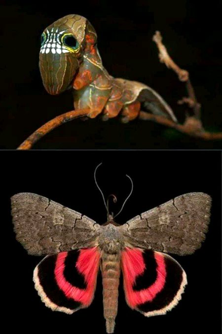 Interesting Posts image