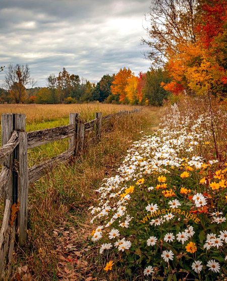 Beautiful Nature image