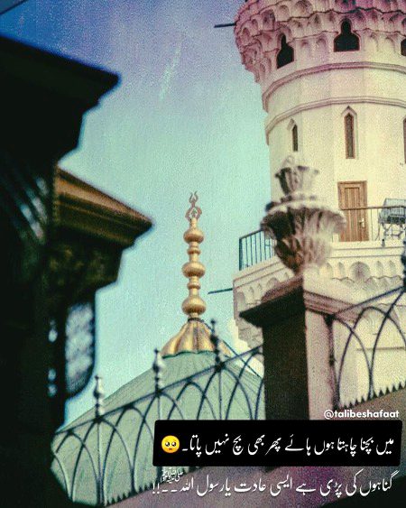 Islamic Quotes image