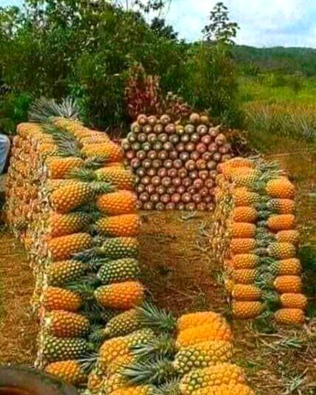 Beautiful Nature image