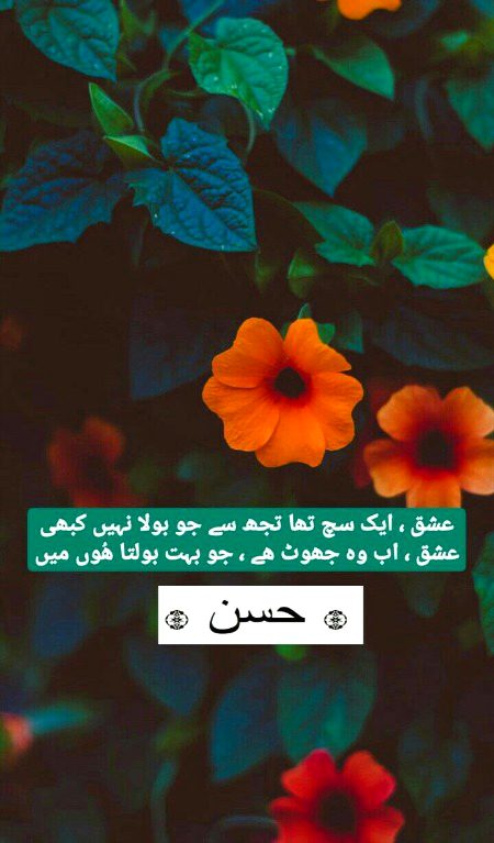 Attitude Poetry image