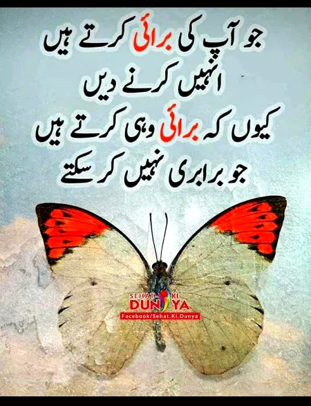 Life Advice image
