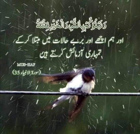 Islamic Quotes image