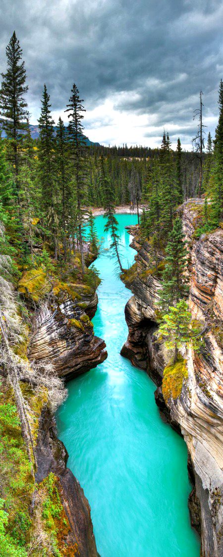 Beautiful Nature image