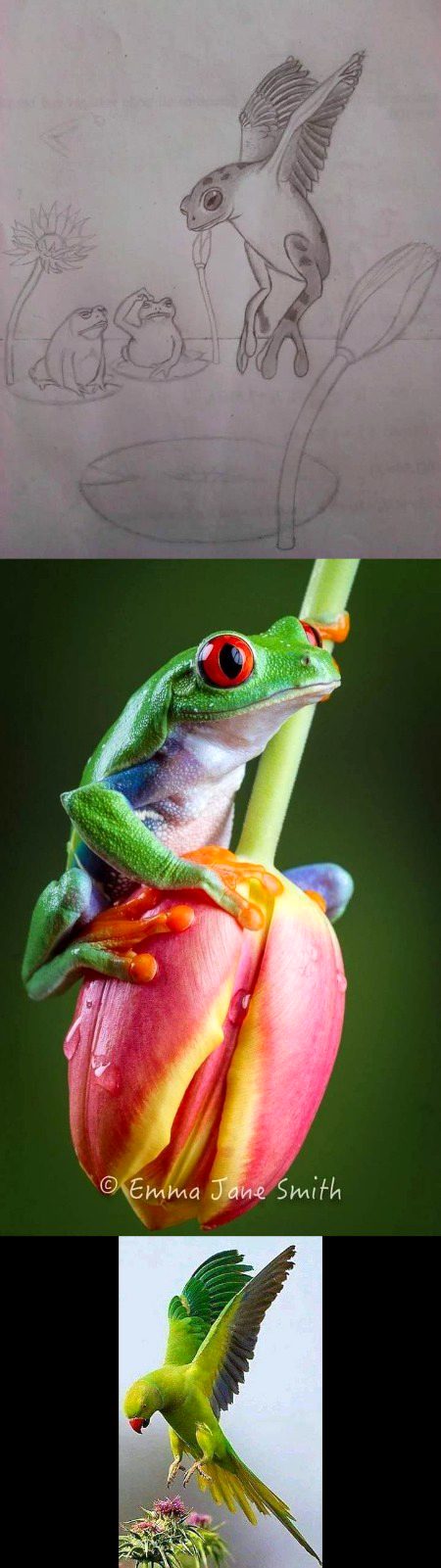 Beautiful Nature image