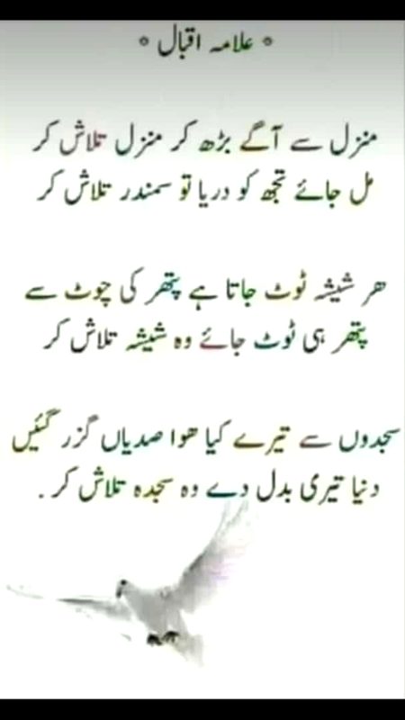 Social media post
