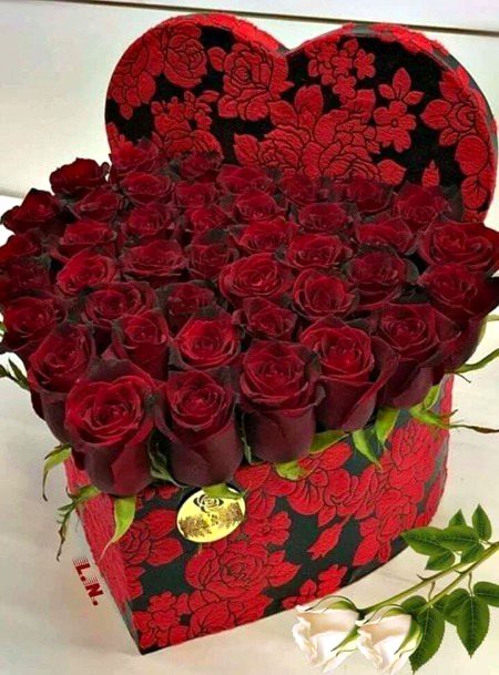 Beautiful Nature image