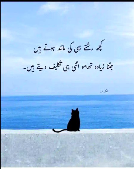 Social media post