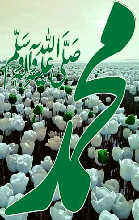 Islamic Quotes image