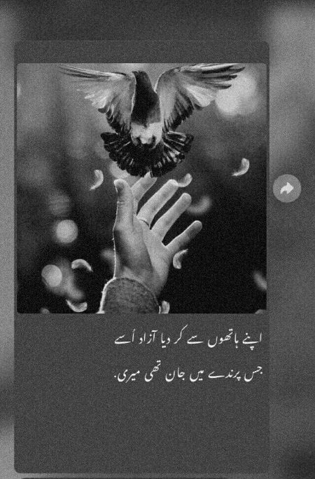 Sad Poetry image