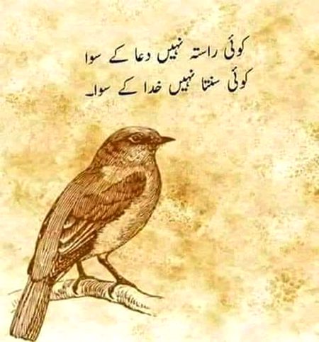 Life Advice image