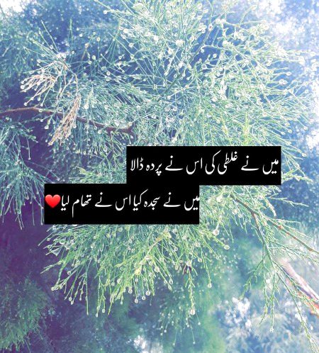 Islamic Quotes image