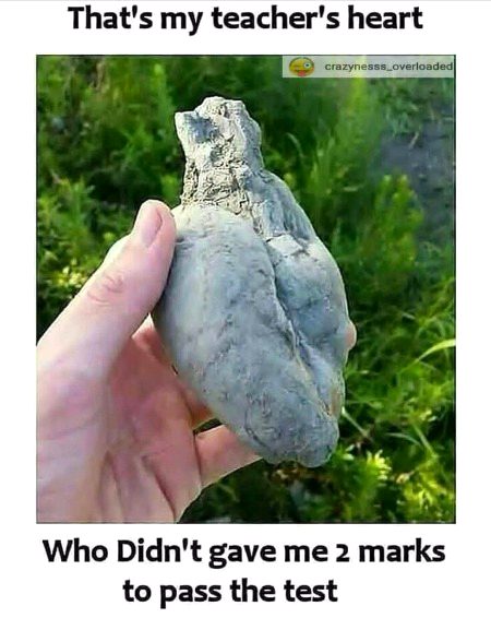 Memes & Satire image