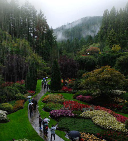 Beautiful Nature image