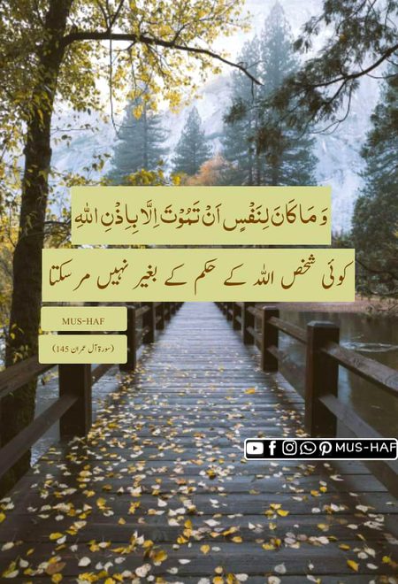 Islamic Quotes image