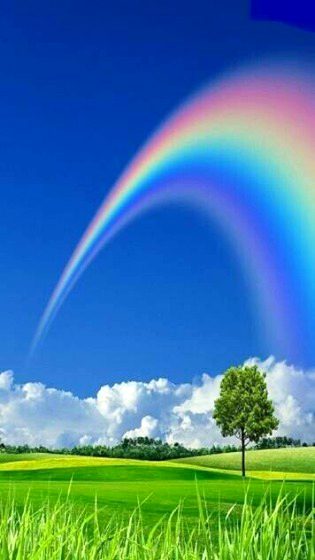 Beautiful Nature image