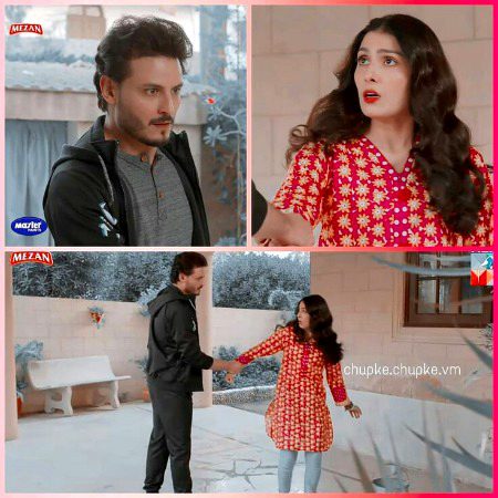 Pakistani Celebs image