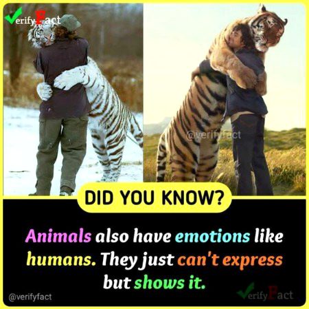 Interesting Posts image