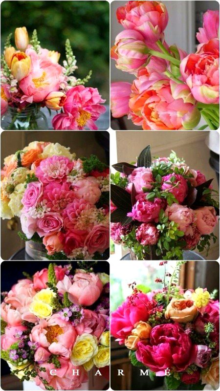 Beautiful Nature image