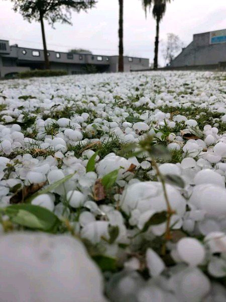 Beautiful Nature image