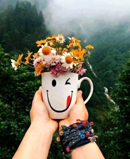 Beautiful Nature image