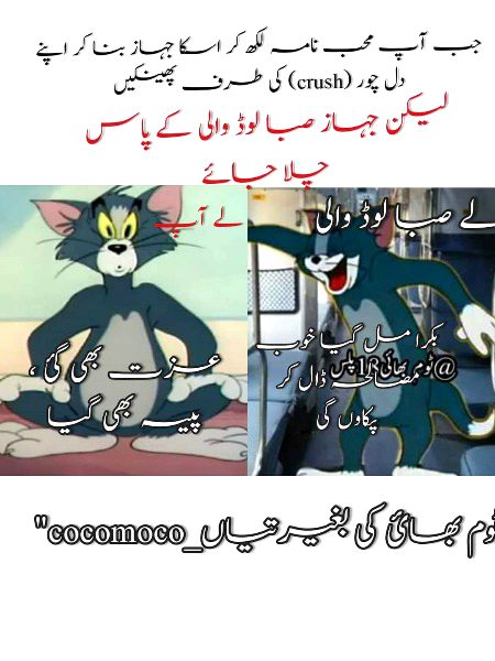 Memes & Satire image