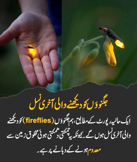 Interesting Posts image