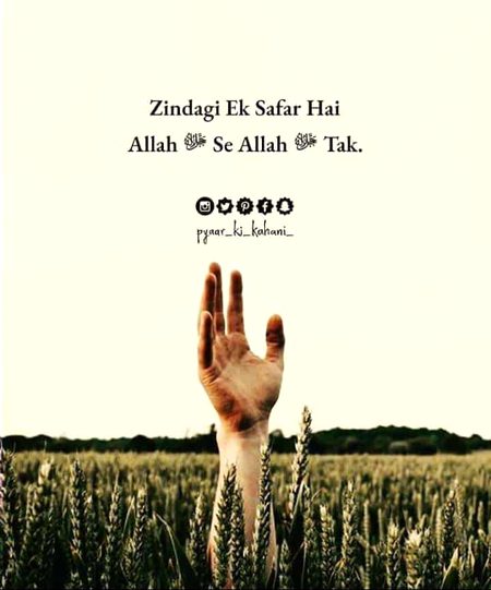 Social media post
