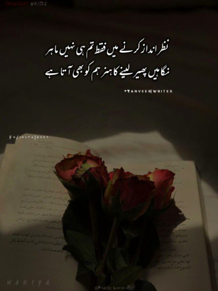 Attitude Poetry image