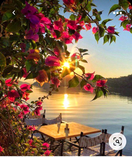 Beautiful Nature image