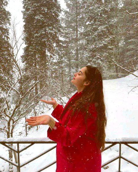 Pakistani Celebs image