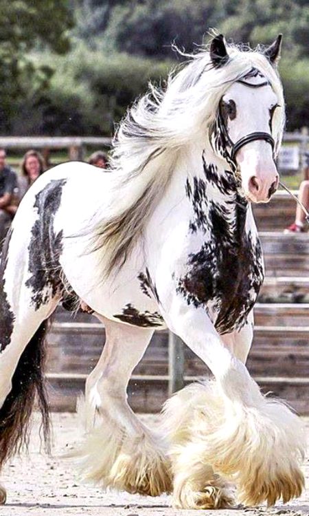 Beautiful Nature image