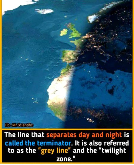 Interesting Posts image
