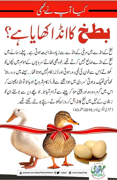 Interesting Posts image