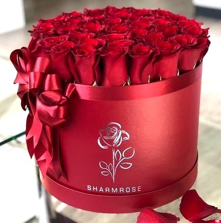 Beautiful Nature image