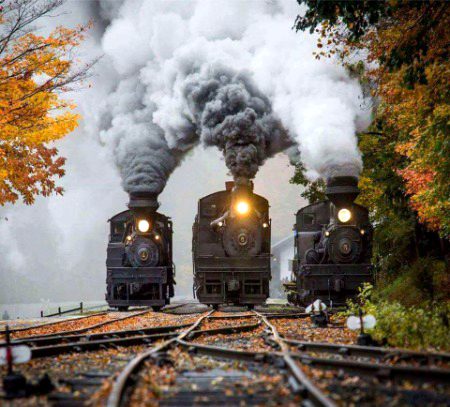 Beautiful Nature image