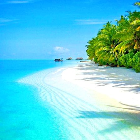 Beautiful Nature image