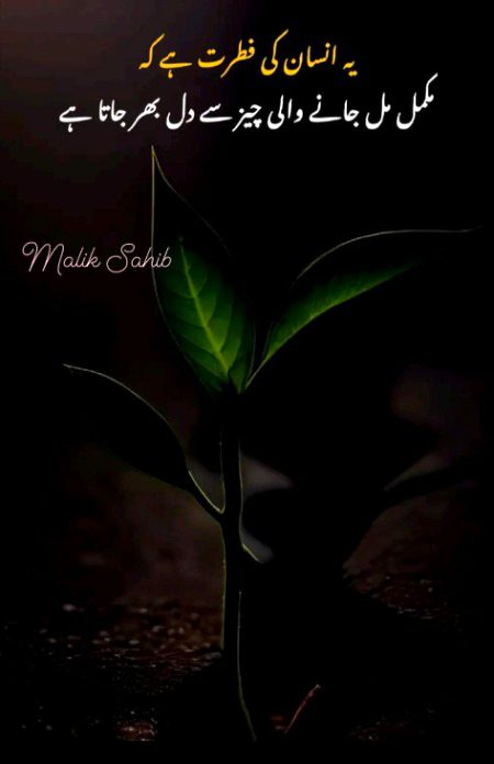 Motivational Quotes image