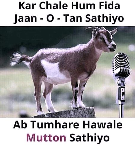 Memes & Satire image