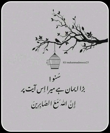 Islamic Quotes image