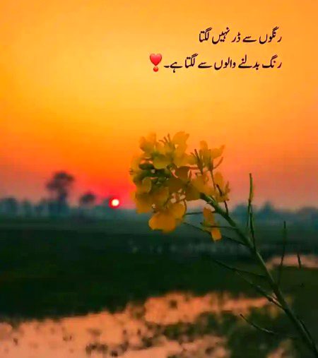 Sad Poetry image